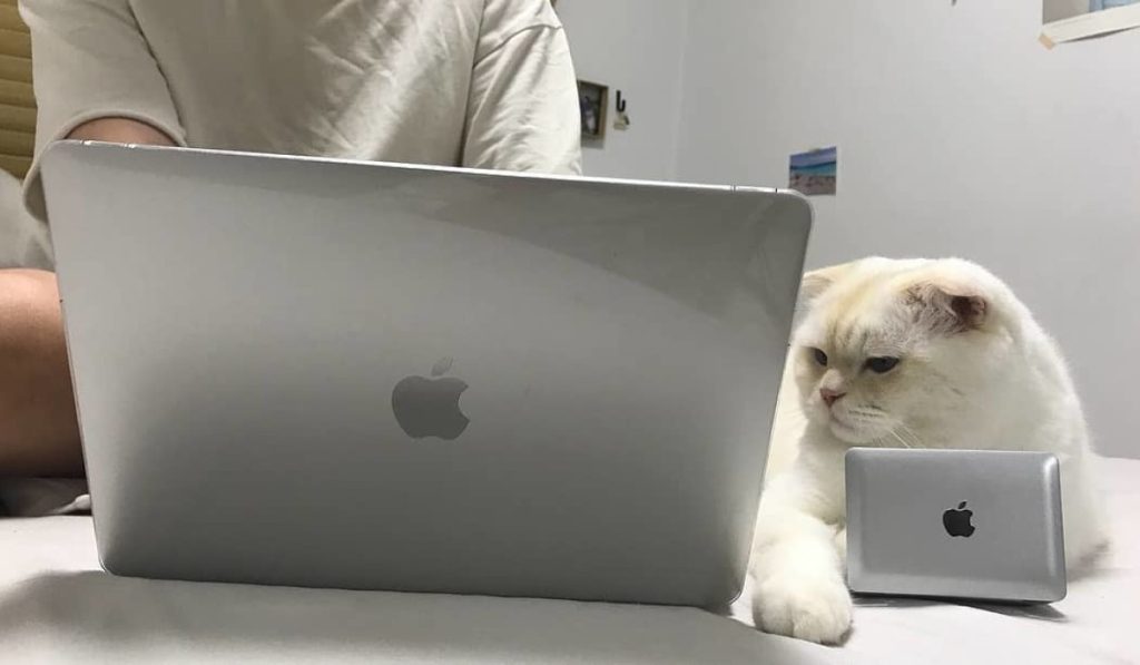 best bloggers