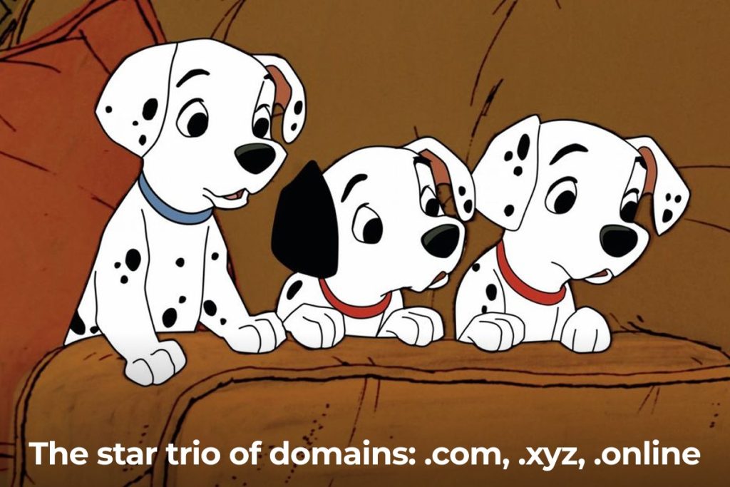 cheapest domain for 10 year